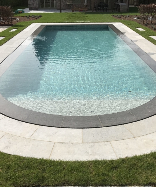 Piscine-à-débordement-avec-roman-scaled